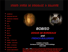 Tablet Screenshot of bobiso.co.uk